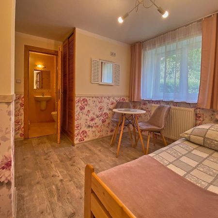 Apartmán Dom Pod Wedrownym Aniolem Sklářská Poruba Exteriér fotografie